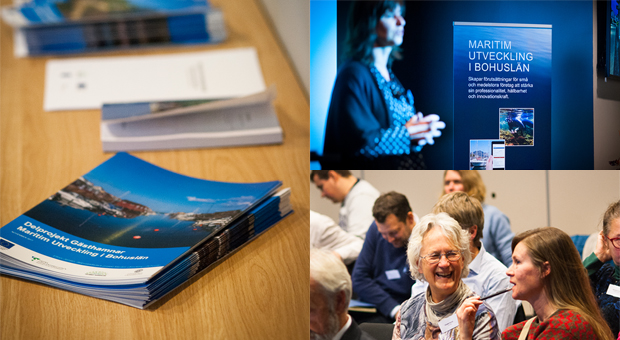Fotomontage av bilder tagna på projekt Maritim Utveckling i Bohusläns delkonferens: projektrapporter på ett bord; projektledare Renee Daun vid projektrollup; glada deltagare i gruppdiskussion. 