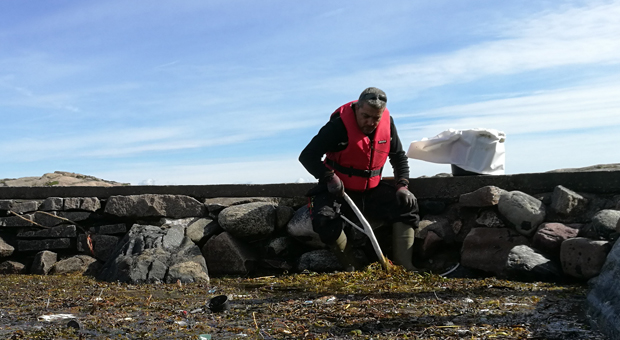 Foto på medarbetare i naturvårdslaget som sanerar olja.