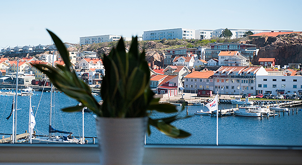 Foto av utsikten från Gullmarsgymnasiets bibliotek.