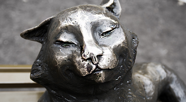 kattskulptur i närbild.